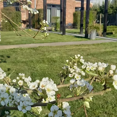 D'hotes Herbes Folles 4*