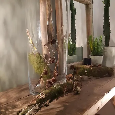 Alojamento de Acomodação e Pequeno-almoço D´hôtes Herbes Folles