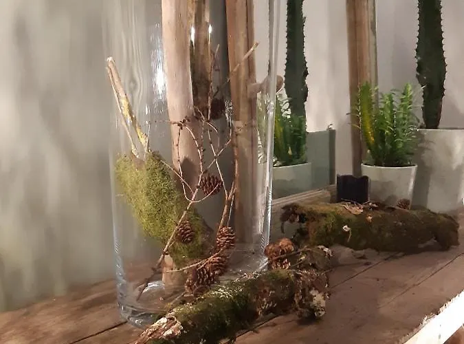 Alojamento de Acomodação e Pequeno-almoço D´hôtes Herbes Folles